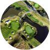 Image for Austerlitz Golf Resort course