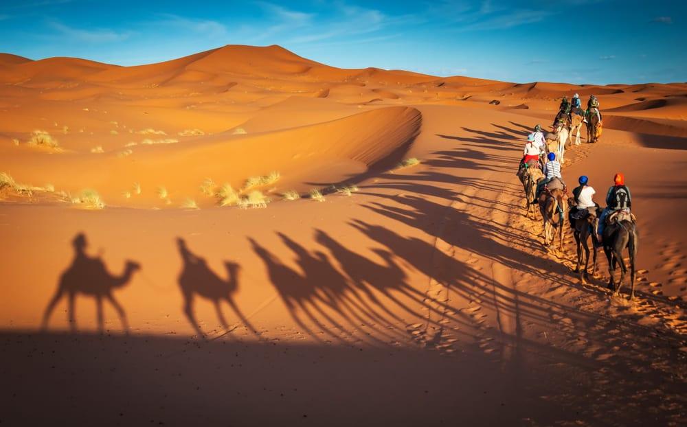 Golf course - Desert safari